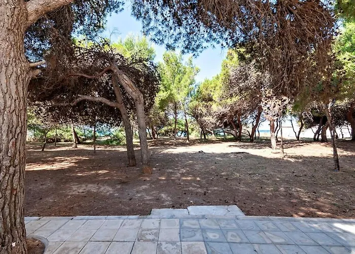 Cozy Flat And Terrace - 2 Min From The By Sweet Puglia 加利波利